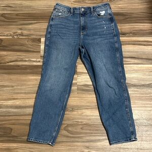 Abercrombie & Fitch The Mom High Rise 29 8R